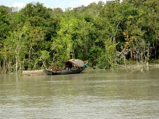Seven Wonder Places Of India - Sundarbans mangroves in West Bengal