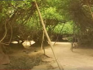 The Mysterious Nidhivan In Vrindavan - Does Lord Krishna Visit This Place Every Night?