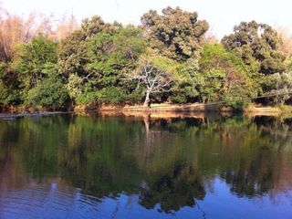 Kuruvadweep In Wayanad – Naturesque Island In Wayanad ! 