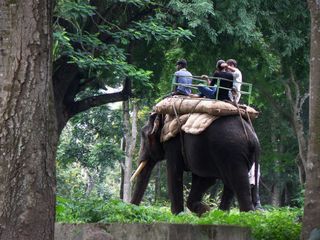 Fun Places Around Karnataka to Visit with Kids