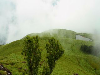 Chembra peak trek - Trekking in the highest peak of Wayanad! 