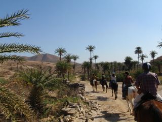 Top 5 Places to go Horse riding in Rajasthan