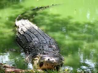 Top 3 Urban Parks In India