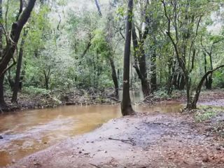 A Day in Mollem National Park