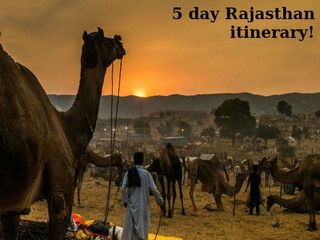 5 Day Rajasthan Itinerary - Let's Tour Rajasthan In 5 Days