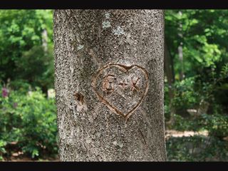 9 Things Not To Do at Parks 