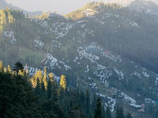 Travel To The Delightful Town Of Narkanda And Recharge Your Soul! 