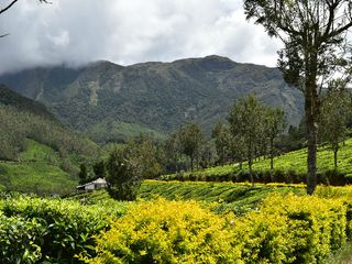 7 Unknown Offbeat destinations In Idukki - Part II