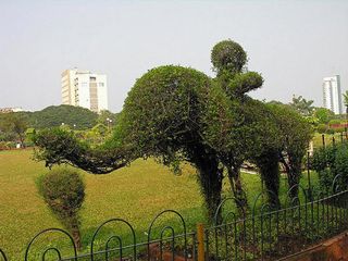 Plant-Animals, Seascape, the Gaint Shoe & More at Hanging Gardens of Mumbai!