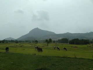 An Enchanting Day in the 'Ooty of Andhra Pradesh'!