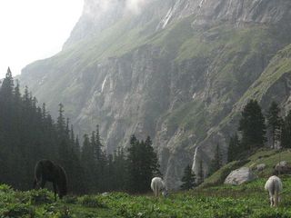 Travel to this valley of Marijuana where Lord Shiva meditated for 3000 years!