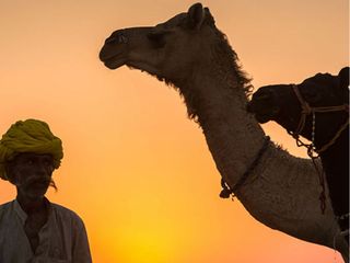 7 Reasons Why You Should Experience Pushkar Mela At Least Once In Your Lifetime!