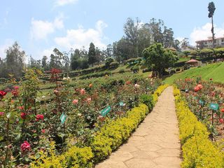 The Lovely Rose Gardens in India