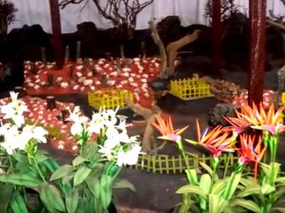 Visit to the Unique Thread Garden in Ooty