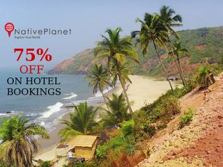 Worried about making payment for Hotel Bookings? Use Paytm Wallet with Nativeplanet Hotels..