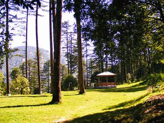 Rejuvenating Time at Dhanaulti Near Mussoorie