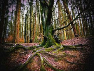 Miraculous Places in India That'll Give Bizarre Thoughts