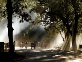 Visit the oasis of Rajasthan this winter;It has the most beautiful Jain pilgrimage site in the world