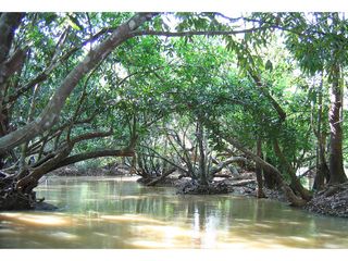 6 Romantic Places in Kerala That Are Just Magical