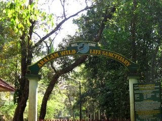 Aralam Wildlife Sanctuary in Kannur