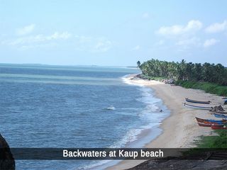 All You Need To Know About Kaup!