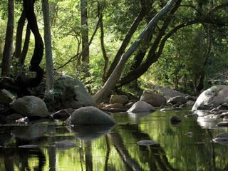 A Dream Trip From Coimbatore To Munnar