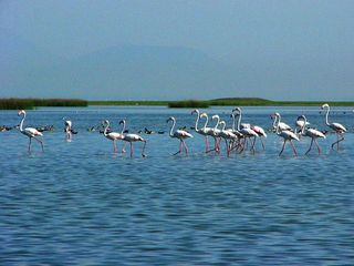 7 Beautiful Estuaries in India 