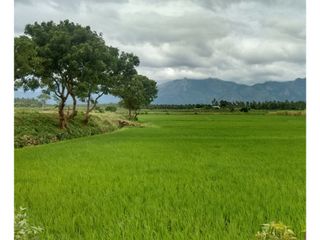 Places to Travel in South India this January