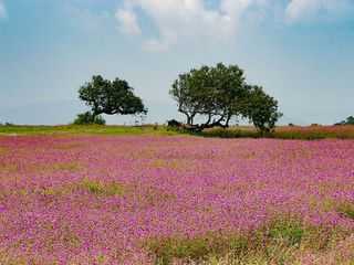 Offbeat Tourist Places in Maharashtra