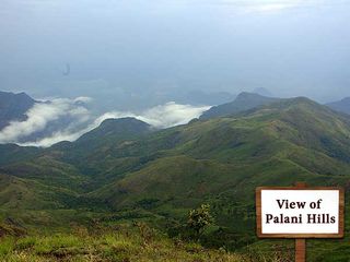 Bangalore to Kodaikanal by Road - Adventure Redefined