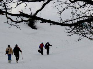 7 Top Snowfall Destinations in India 