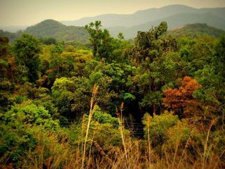 A Trek To Galibeedu Peak In Coorg