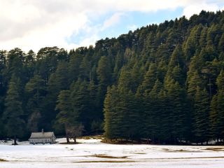 A Glimpse At Khajjiar In Himachal Pradesh – The Switzerland Of India