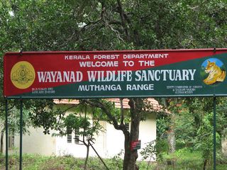 A Guide To Wayanad Wildlife Sanctuary