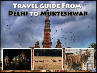 Travel Guide From Delhi to Mukteshwar
