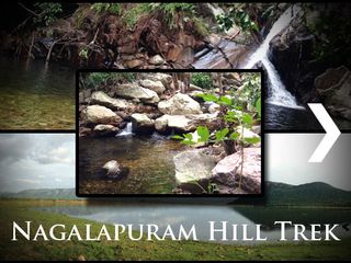 A Magical Escape Into Nature – The Nagalapuram Hill Trek