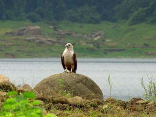 A Trek Through The Chimmini Wildlife Sanctuary 