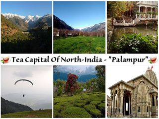 Get To Know Palampur: The Tea Capital Of North India