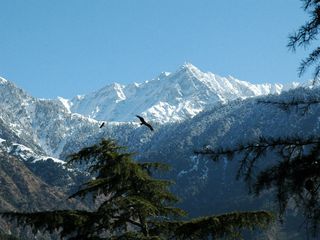 The Indrahar Pass Trek - Dharamshala