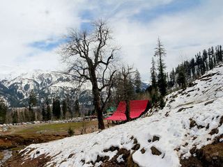 Experience the grandeur of the Himalayas with the Deo Tibba trek