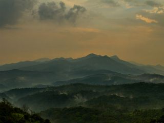 Bangalore To Pushpagiri Wildlife Sanctuary In Coorg