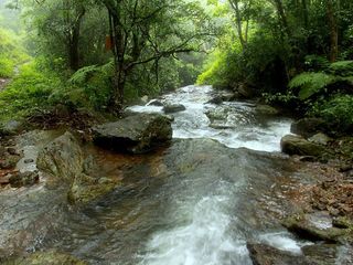 Route From Bangalore To Brahmagiri Wildlife Sanctuary In Coorg