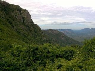 An Awesome Trek In The Holy Hills Of Tirumala