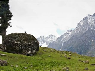 Dreamy Places To Visit Around Sonamarg The ‘Meadow Of Gold’