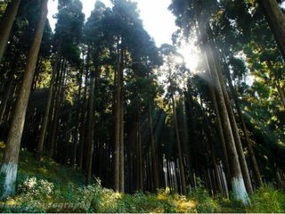 A Travel Guide To Lepchajagat In West Bengal