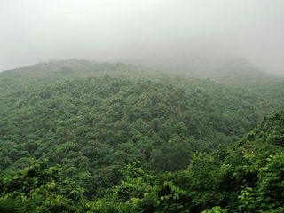 A Guide To Netarhat: The Queen Of Chotanagpur