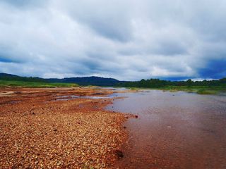 A Walk On The Banks Of Nila