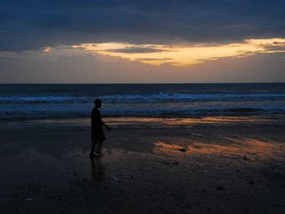 The Beach Town Of Bordi In Maharashtra