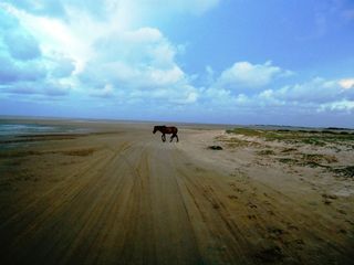 10 Must-Visit Destinations Of Tamil Nadu