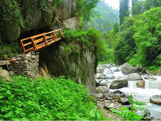 The Hidden Gem Of Shoja In Himachal Pradesh